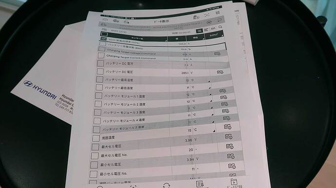 バッテリーSOHは100％でした。