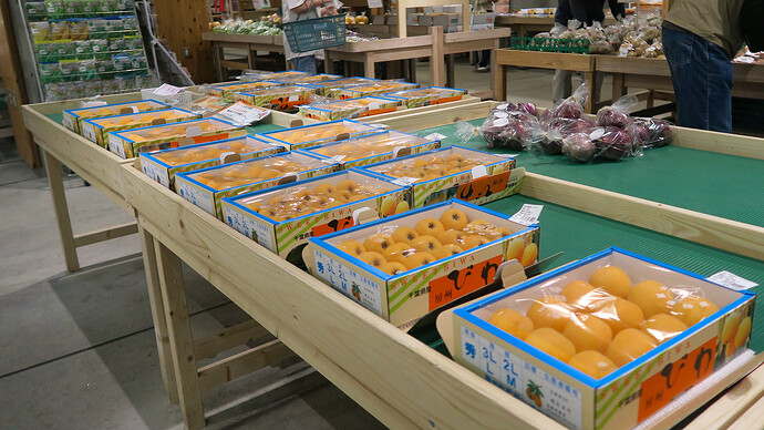 道の駅の直売所には旬の房州枇杷が並んでました。