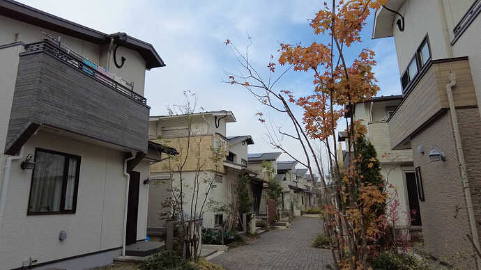 すでに完成済みの街区（第2期）風景。街路は電線地中化の経路でもあります。