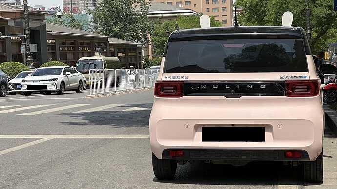 うさぎカスタム宏光MINI EV