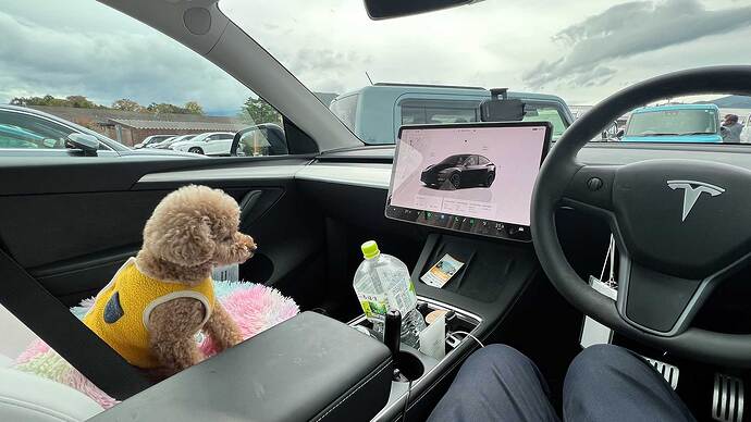 愛犬が自由に動ける状態でのドライブはルール違反。運転中はケージやボックスに入れてあげたり、犬用シートベルトを使うのがオススメです。