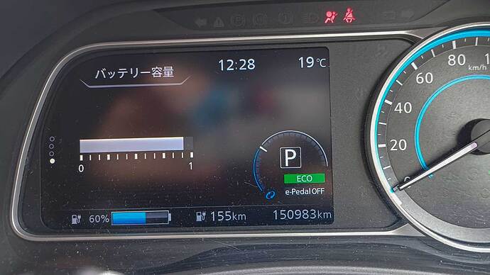 去年の夏頃、約15万km時点でセグ欠けを確認。