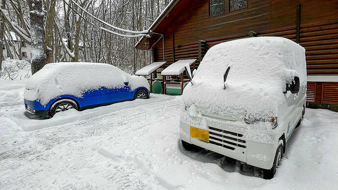 朝起きたら車は雪だるまに。