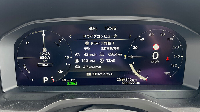 高速道路を走るとバッテリーは早々と空になってしまった。