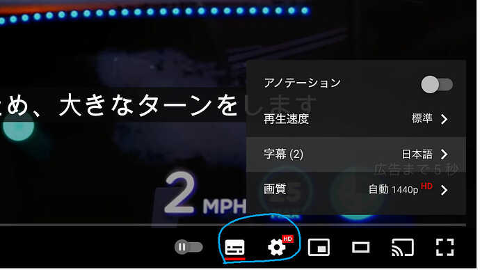 青い丸で囲んだ設定をチェック。