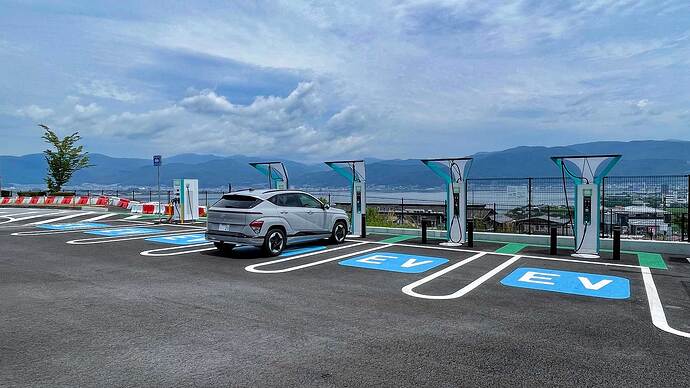 中央自動車道諏訪湖SA(下り)の青いマルチ。