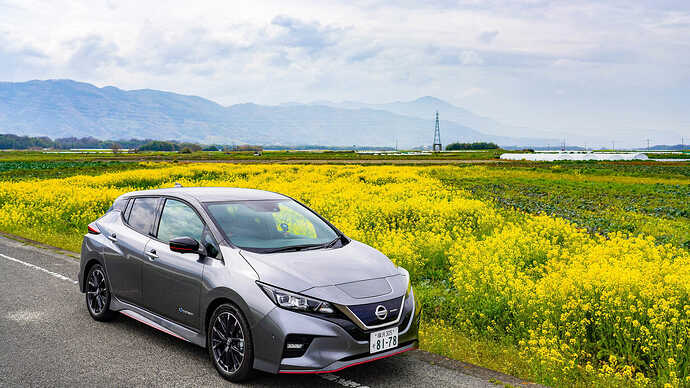 日産 リーフ NISMO。筆者は四国遍路をEVで回った。そのときの一枚。