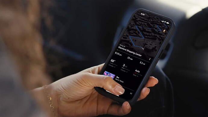 Tesla Ride-Hailing App