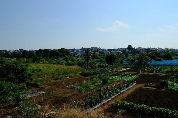 充電器の南西側は、恩田川をはさんで長津田方面の台地が遠望できる。畑の広がる田園地帯だ。