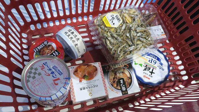 私の場合、放電しながら晩酌つまみのストックをお買い物！
