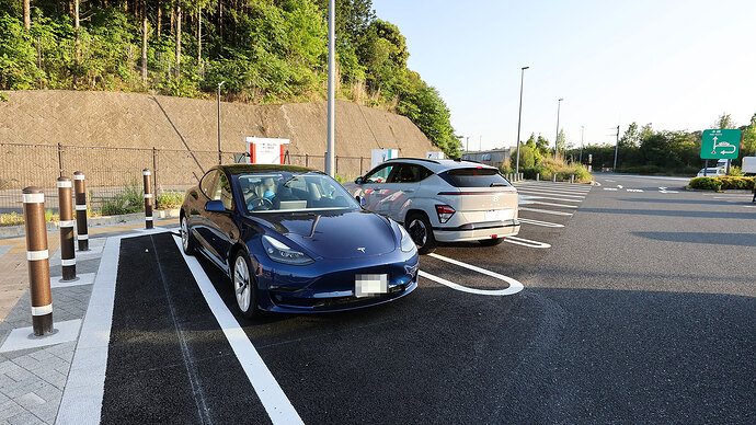 復路の岡崎SAではVISON帰りのモデル3ご夫婦とご挨拶。