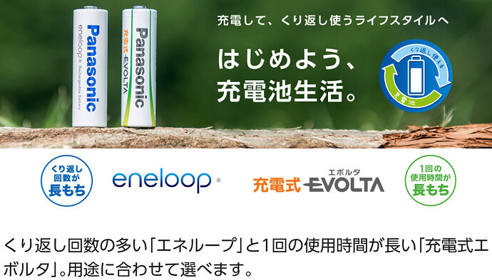 乾電池型充電池「eneloop（三洋電機が源流）」と「EVOLTA（パナソニックが源流）」が2020年時点でも併売されている例。パナソニックの公式サイトより転載。