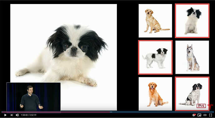 Japanese Spaniel（ちん）の写真を例にした説明も！