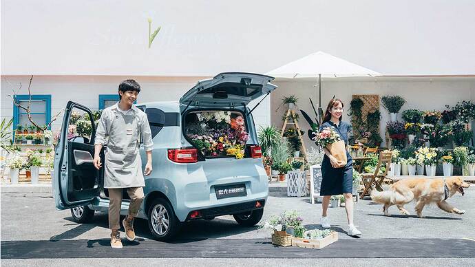 宏光MINI EV(Hong Guang MINI EV)。