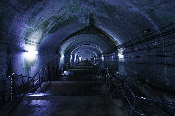 土合駅ホームへ続く長い階段は高低差338m、462段。