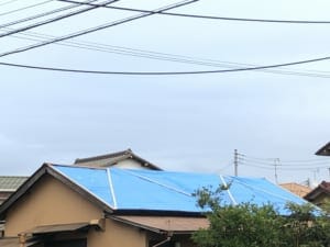 Many houses near Mr. N’s home in Chiba city are covered with blue plastic sheets. 