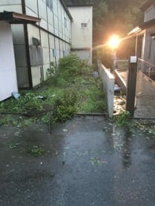 While dusk was approaching, roof debris and branches were scattered everywhere. The only property that had light that evening was Mr. N’s. 