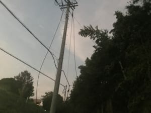 電柱の上段にある高圧配電線が切れて垂れ下がっている。最大6,600Vもの高電圧電流が流れているので、大変危険。Nさん撮影。