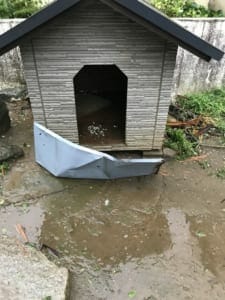 犬小屋の前には、近くの倉庫の屋根材がぶつかっている。Nさん撮影。